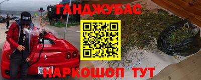 прущие грибы Пенза